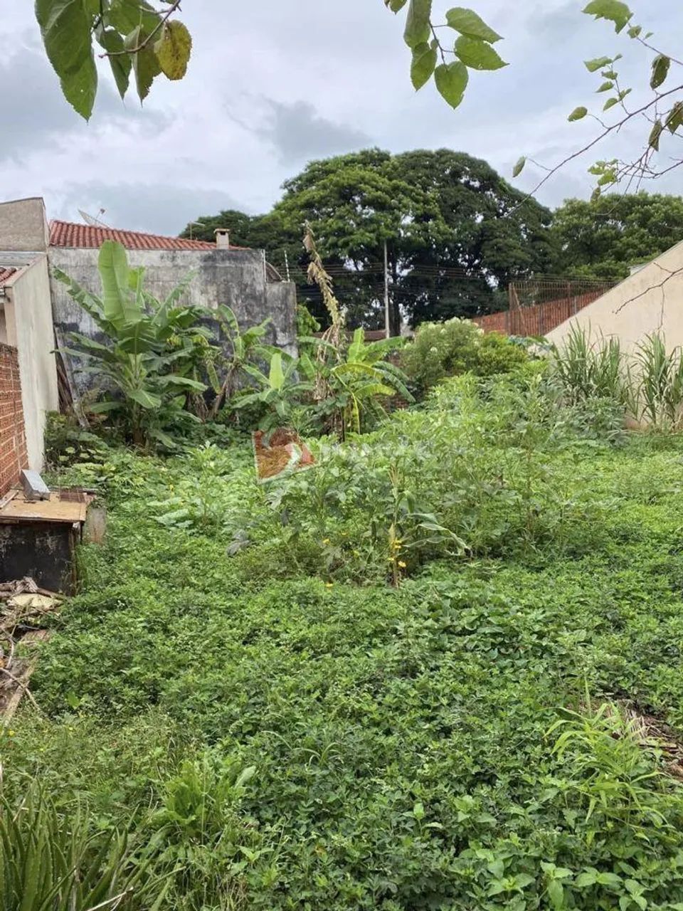 Terreno à venda em Maringá, Jardim São Francisco - Foto 5