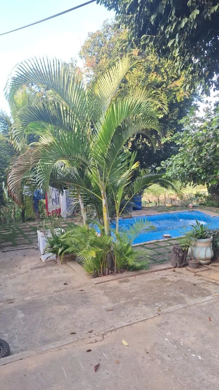 CHACARA EM LUZIÂNIA-GO,  ACEITO OFERTA/VEICULO - Foto 5