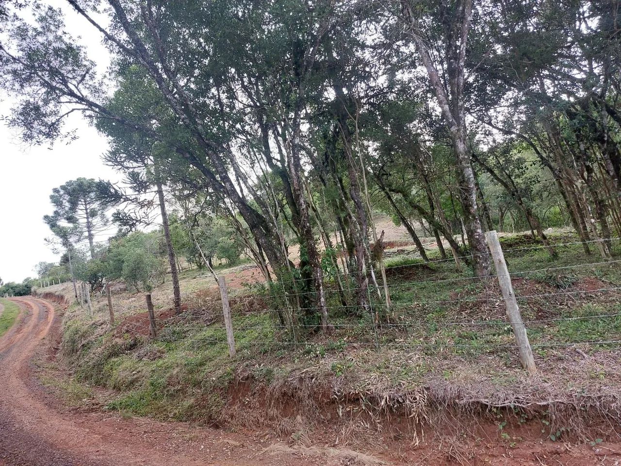 TERRENO LAGES +3500M² PRONTO PARA CONSTRUIR - Foto 3