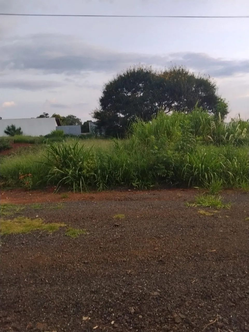 Terreno /condomínio (chácara)  - Foto 4