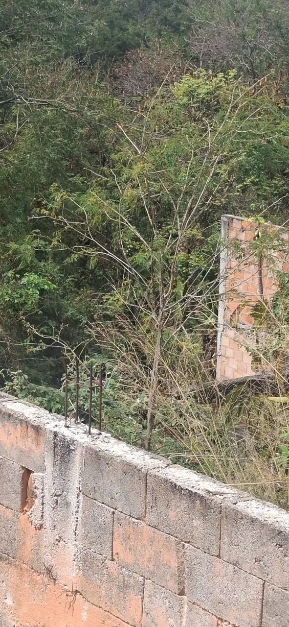 OPORTUNIDADE  - Foto 5