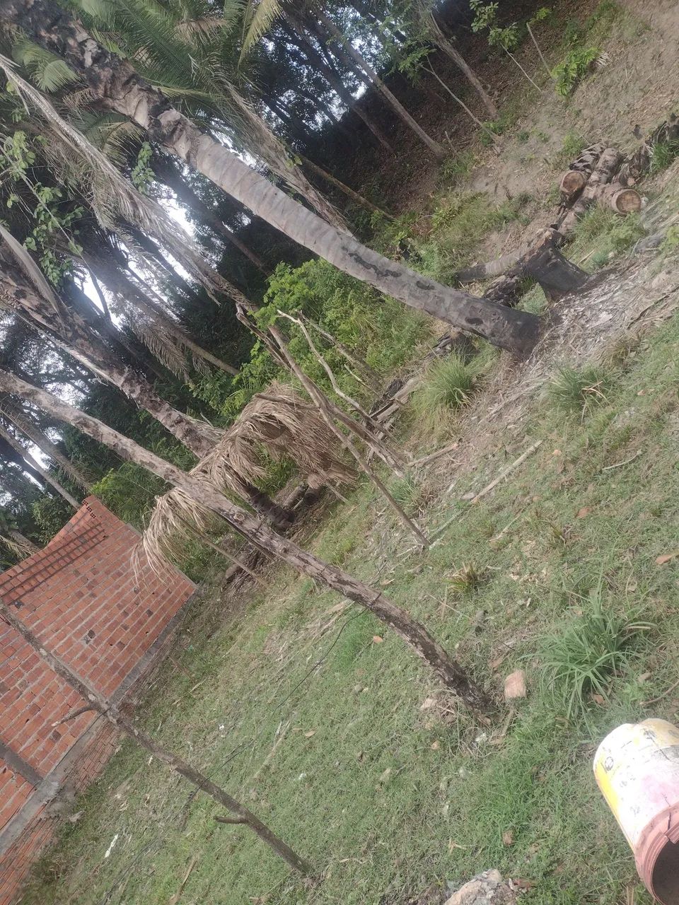 Terreno ( troco em moto ) - Foto 2