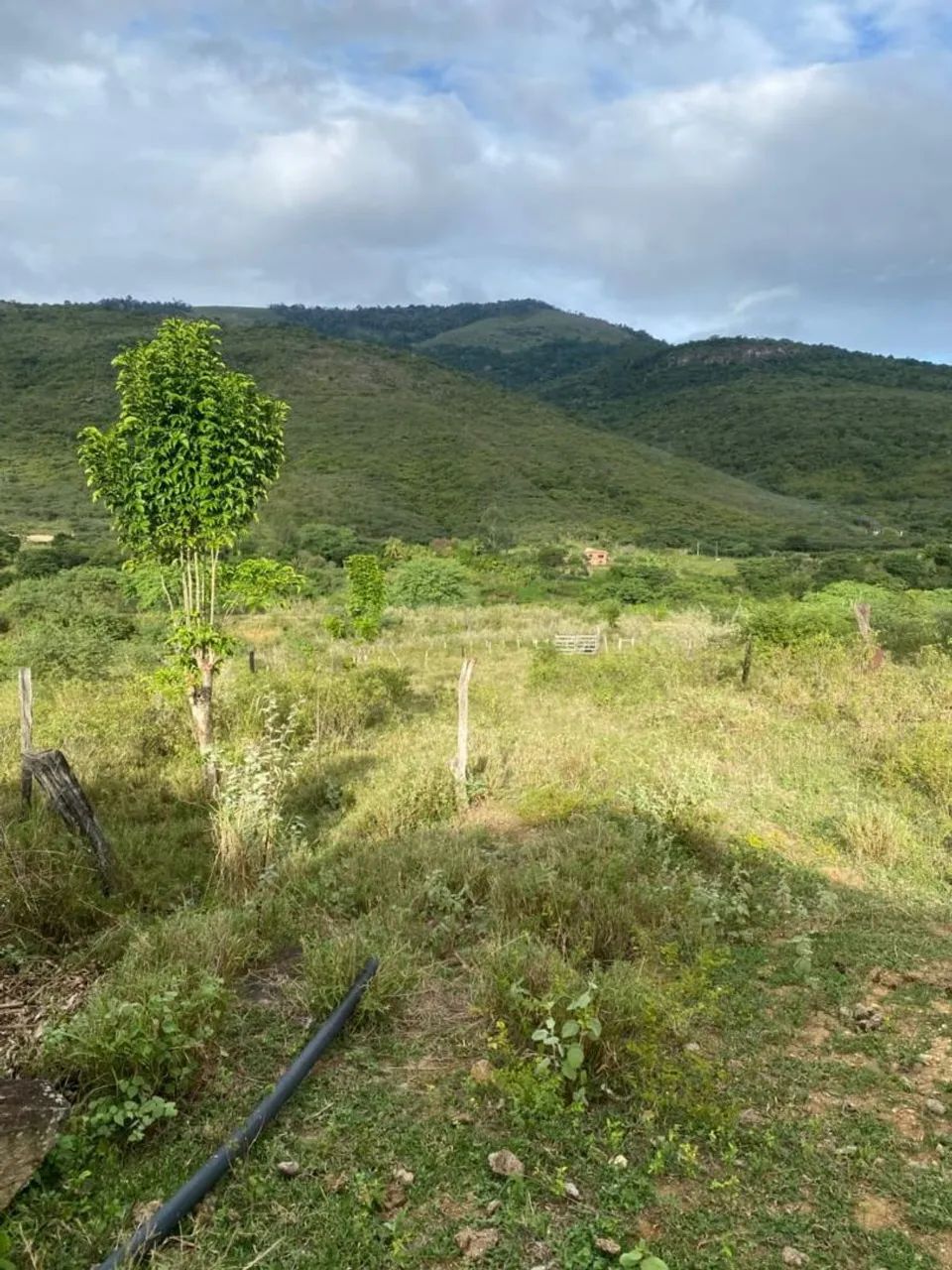 Fazenda em Jequié  - Foto 5
