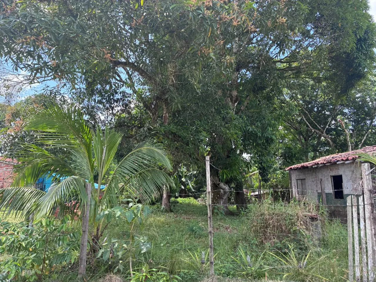 Vendo terreno. - Foto 4