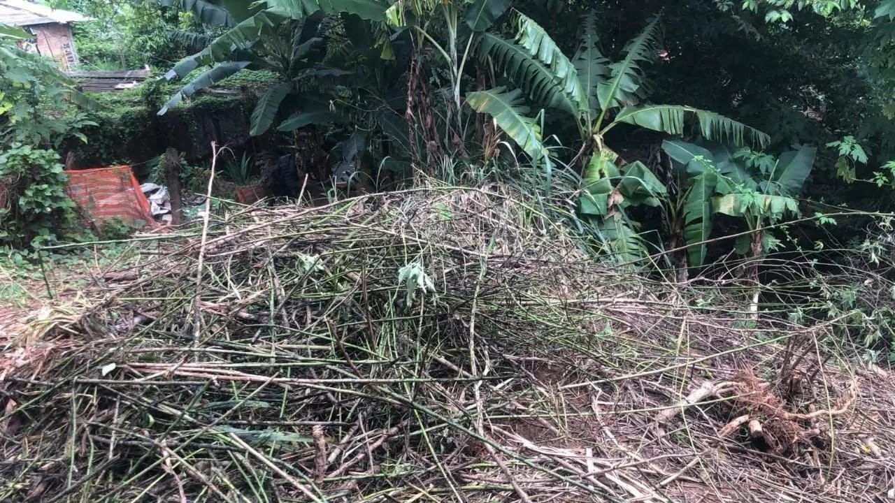 Área  - Foto 3