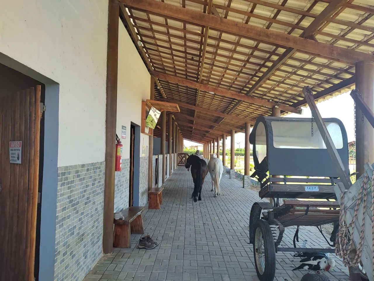 Terreno fazenda real - Foto 4