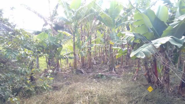 Casa, Encruzo, Jaguaruna-SC - Foto 20