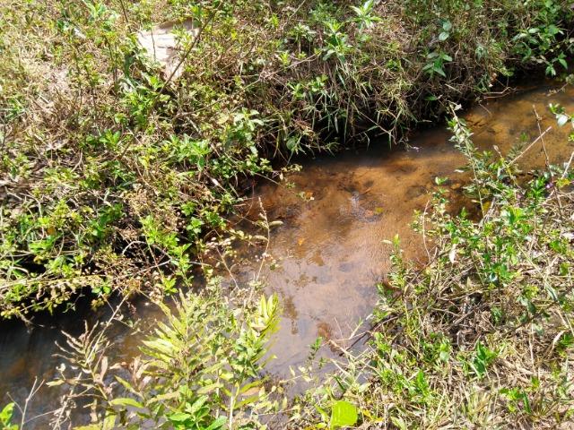 Chácara Aragoiânia, 14,65 alqueires, (71,71 hectares), - Foto 18