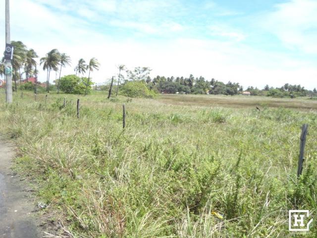 Terreno à venda - mosqueiro - Foto 6