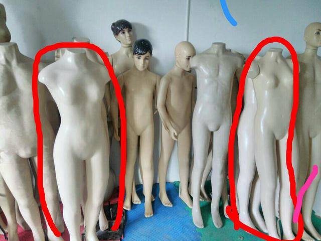 Maniquim juvenil