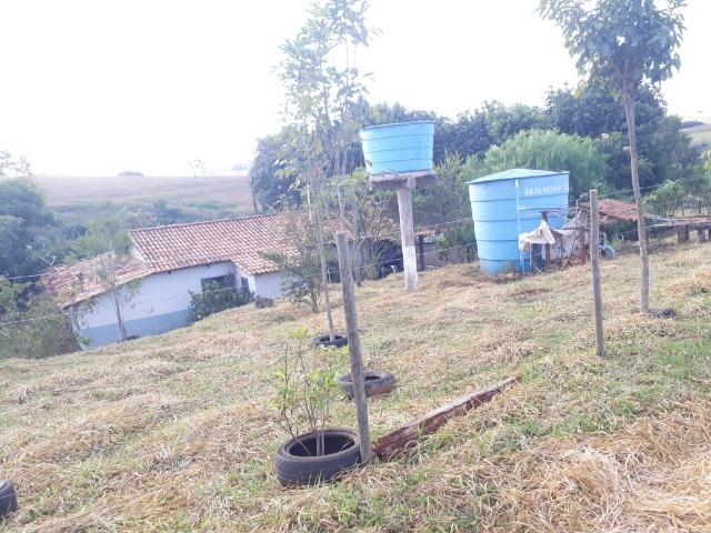 Excelente sítio de 8,64 hectare em Ponto Chic (Patos de Minas/MG) - Foto 17
