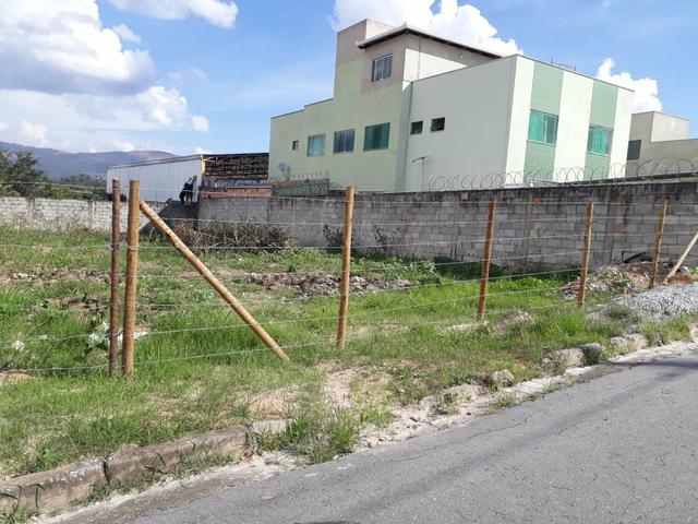 Lote