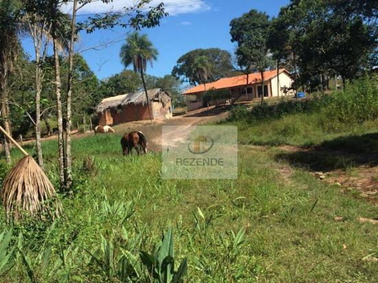 Fazenda com - 88 alqueires - R$ 3.000.000 - Miracema do TO. - Foto 6