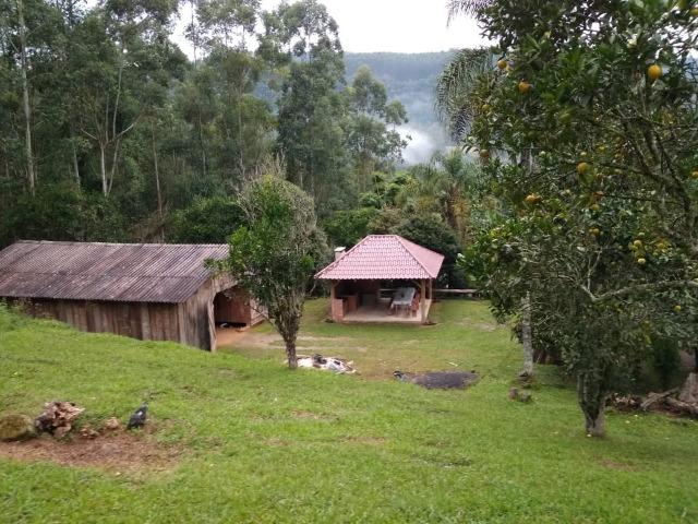 Lindo sítio em Itaiópolis - Foto 8