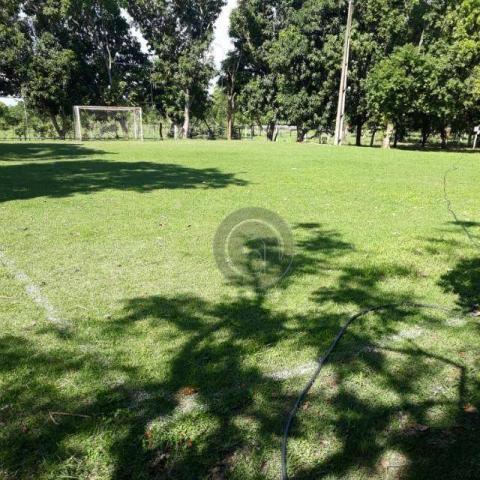 Chácara comunidade de morrinho - Foto 5