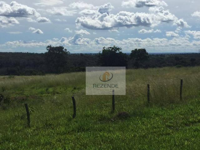 Fazenda com - 88 alqueires - R$ 3.000.000 - Miracema do TO. - Foto 4