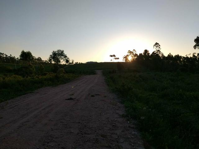 Lindo terreno no sítio - Foto 2