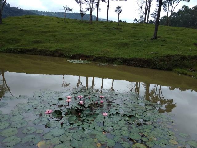Lindo sítio em Itaiópolis