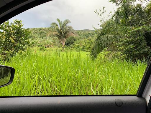 Sítio 26 hectares região da serra são vicente - Foto 3