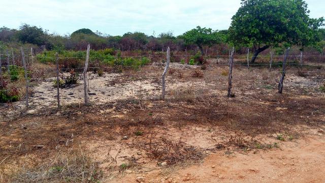 Lote 15x50m na praia da Caponga - Foto 13