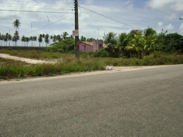 Terreno em Aver-o-mar (Barra de Sirinhaém) - Foto 5