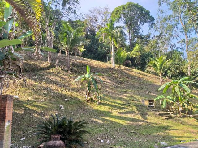 Belíssimo sítio em Cachoeiras de Macacu RJ 122 medindo 10.000m2 - Foto 6