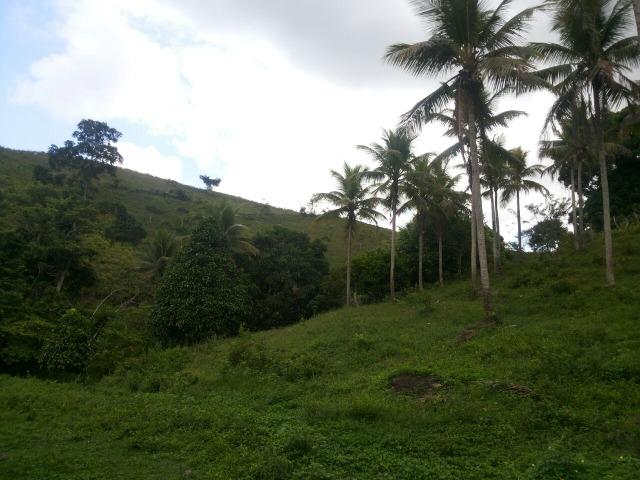 Propriedade rural com 140 HEC - Foto 4
