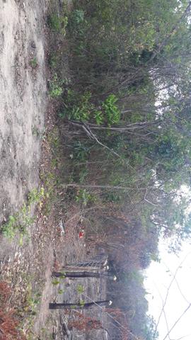 Terreno muinto bom - Foto 3