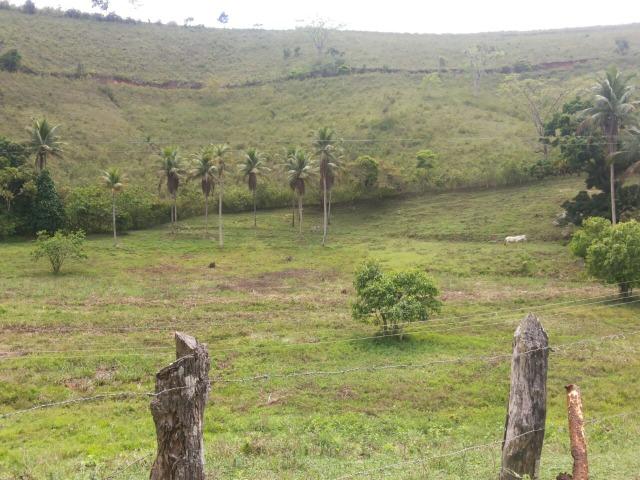 Propriedade rural com 140 HEC - Foto 7