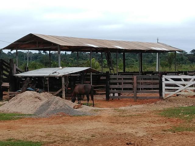 Colonia - Foto 5