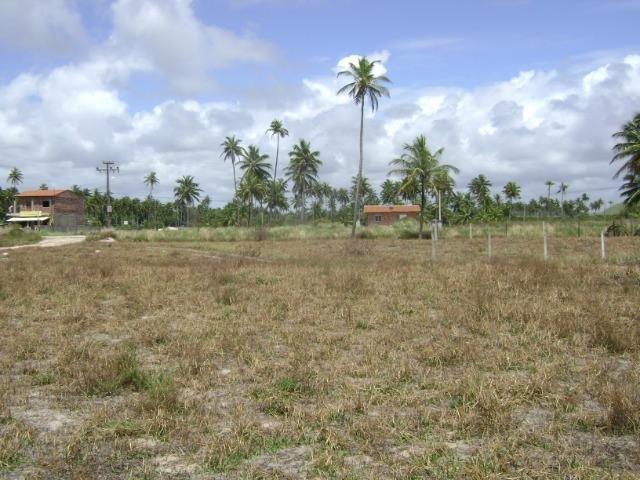 Terreno em Aver-o-mar (Barra de Sirinhaém)