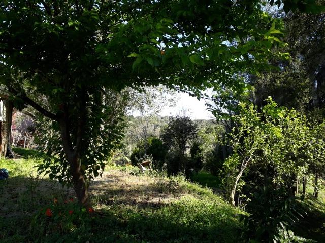 Chácara em Contenda -São José dos `Pinhais - Foto 7