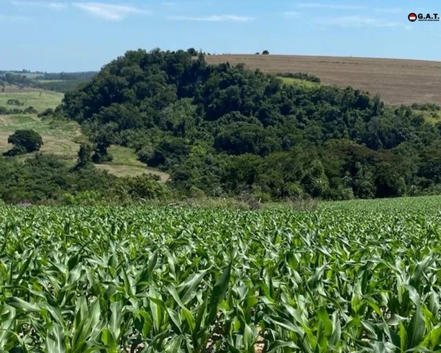 FAZENDA A VENDA EM JUNDIAGUARA- ARAÇOIABA DA SERRA/SP