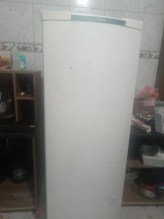 Refrigerador/ Geladeira