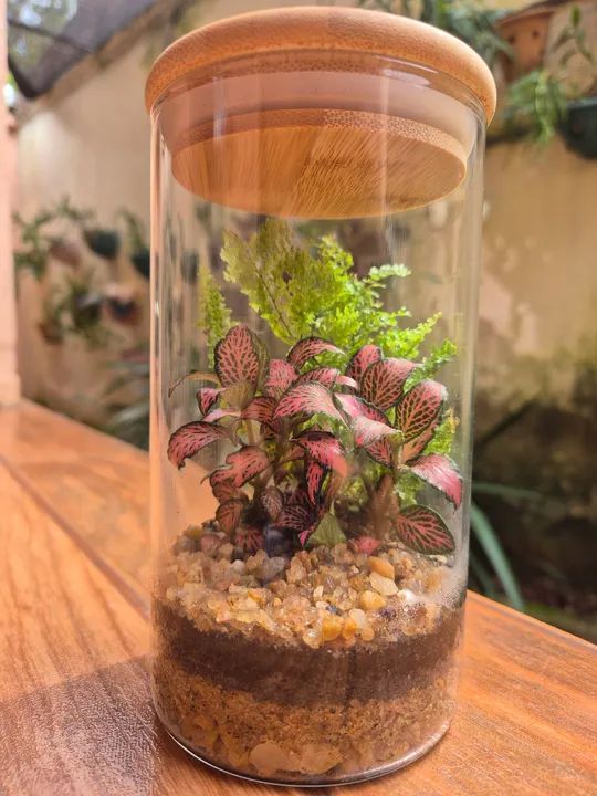 Jardim de Vidro - Miniatura Criativa - Foto 5