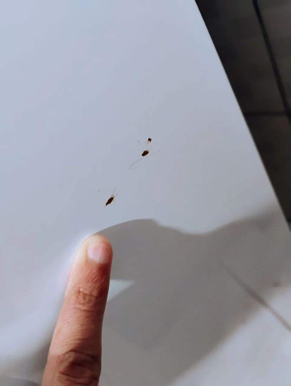 Geladeira Consul Frost Free  Usada* Léia o Anúncio com Atenção* Consigo Entregar  - Foto 4