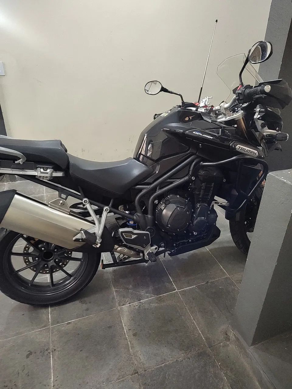 Tiger Explorer 2013 - Foto 4