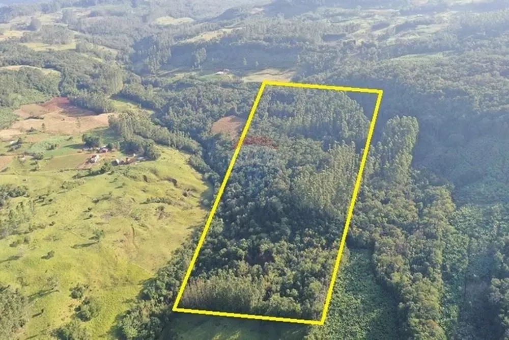 Área Rural de 150.000m² no Engenho Velho em Jacinto Machado - Foto 4