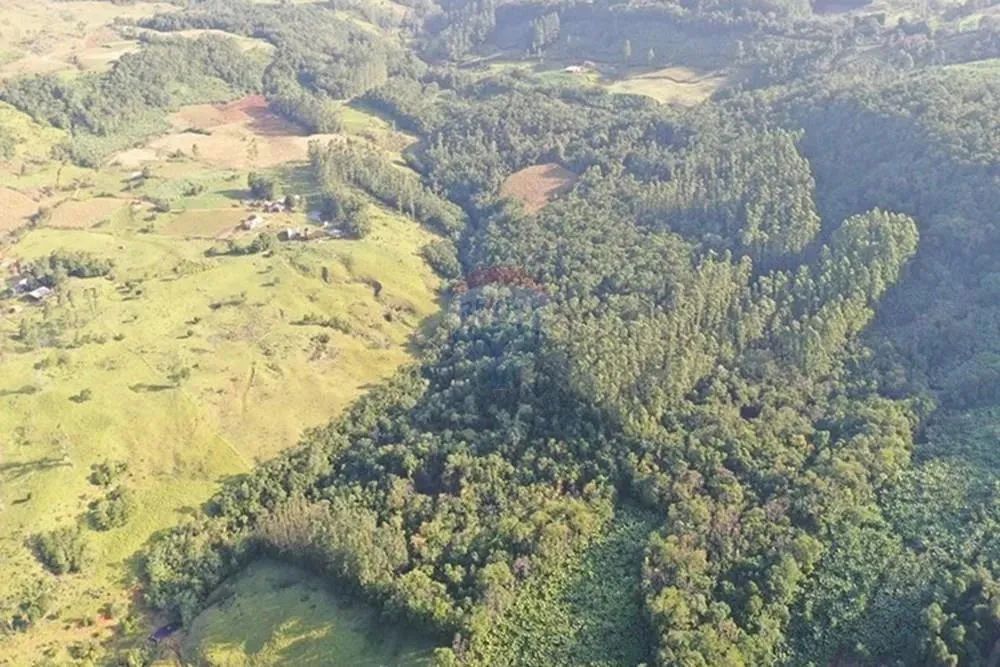 Área Rural de 150.000m² no Engenho Velho em Jacinto Machado - Foto 5