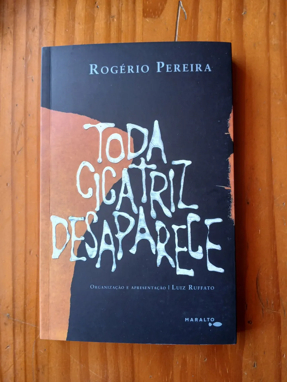 Livro: Toda Cicatriz Desaparece - Rogério Pereira