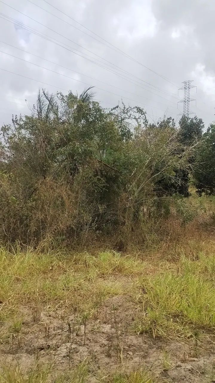  Sítio em Jenipapo com 0,8 hectare com escritura e registro público  - Foto 3