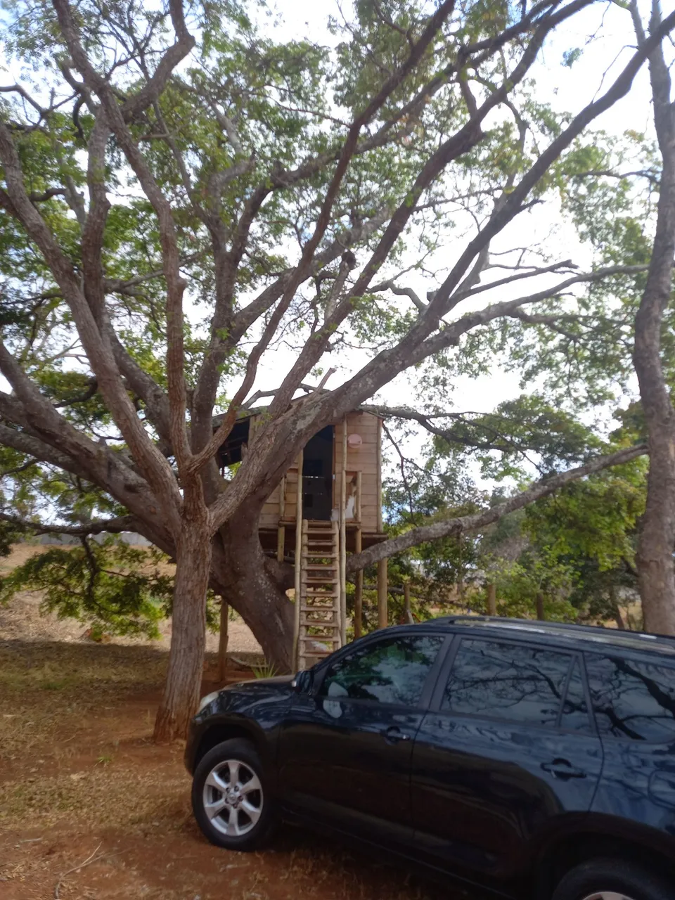 LOTE MARAVILHOSO 