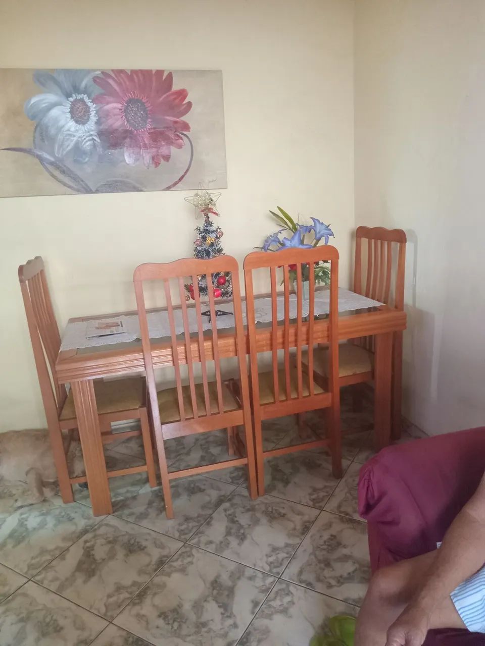 Foto - Rio de Janeiro - Paciência