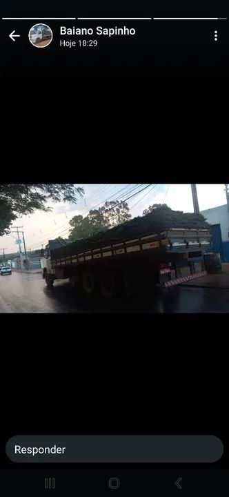 GRAMA BATATAIS QUALIDADE  - Foto 3