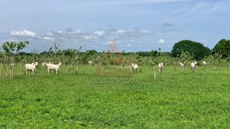 Fazenda - Jaíba - Zona Rural