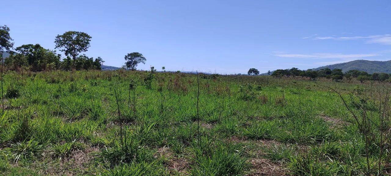 Chácara em Corumbaiba  - Foto 5