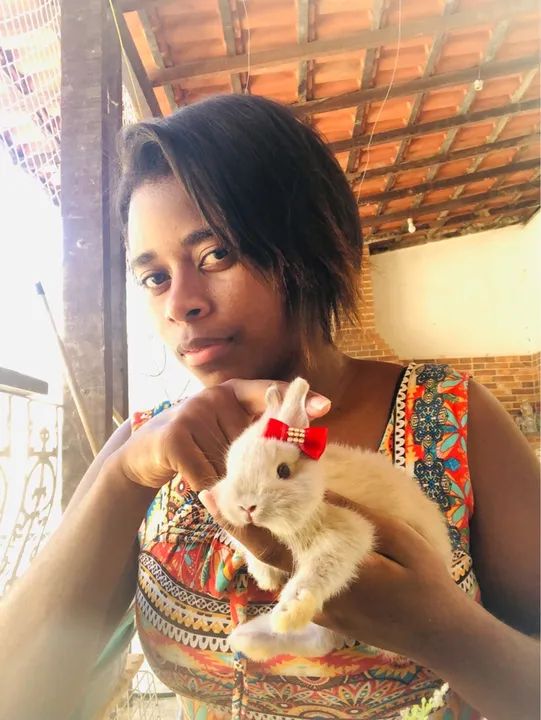 O menor coelho do mundo da raça netherland dwarf - macho 