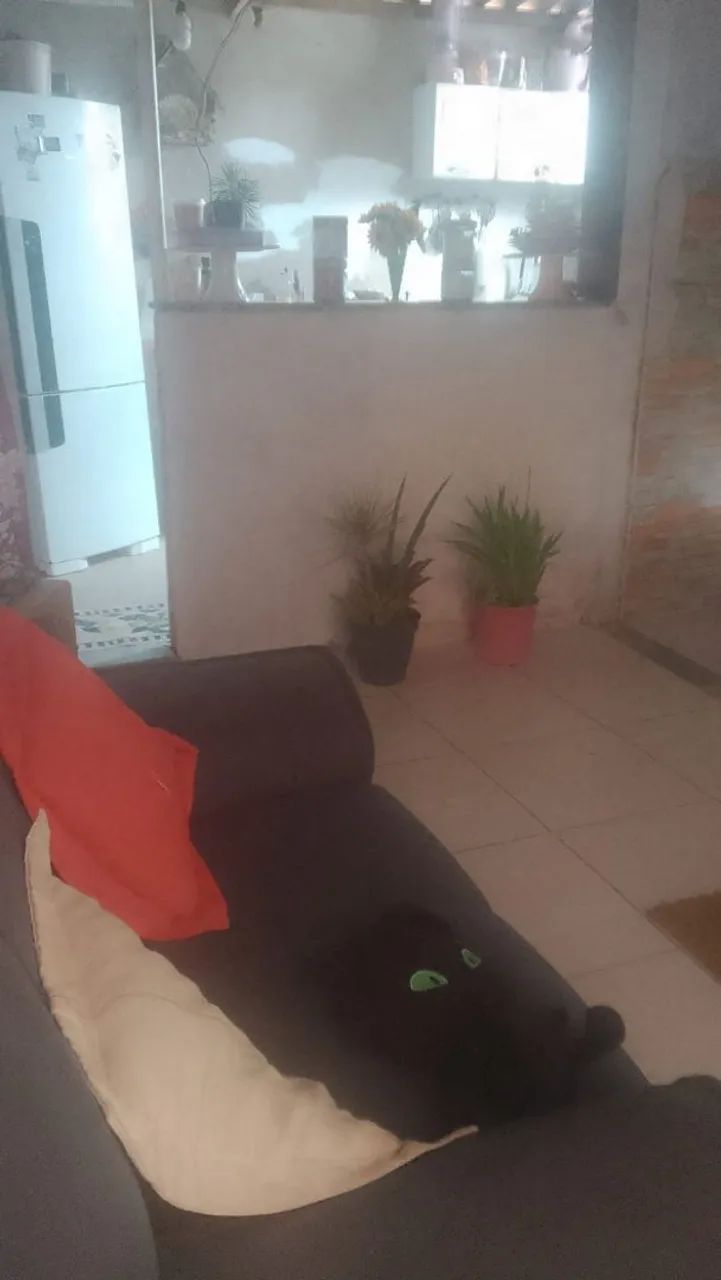 Foto - São Gonçalo - Vista Alegre