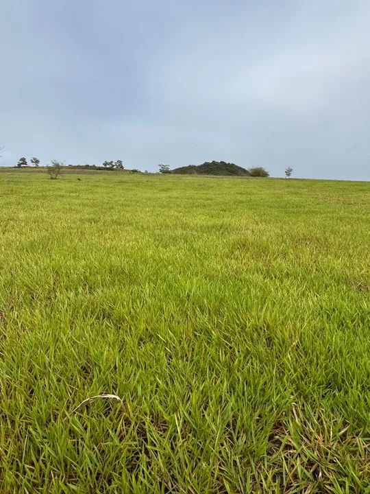 Vendo fazenda em Estância - Foto 3