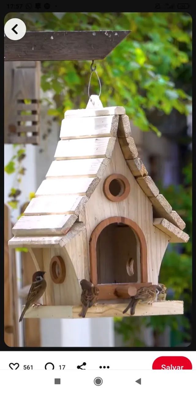 Casa de Passarinho para Jardim